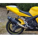 Special Titanium Black Roadsitalia Triumph Baby Speed 600