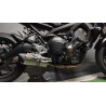 Special Titanium Roadsitalia Yamaha MT-09 2013-2016