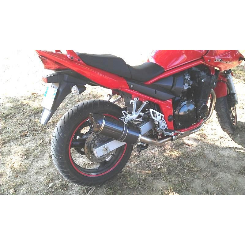 Exhaust for Suzuki GSF Bandit 1200 1996 2005 Special Carbon