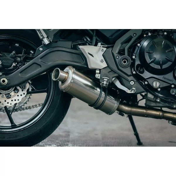 Short Titanium Roadsitalia Kawasaki Z650 2023-