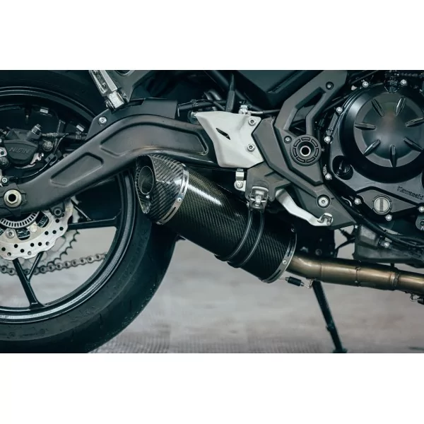 Special Carbon Roadsitalia Kawasaki Z650 2023-