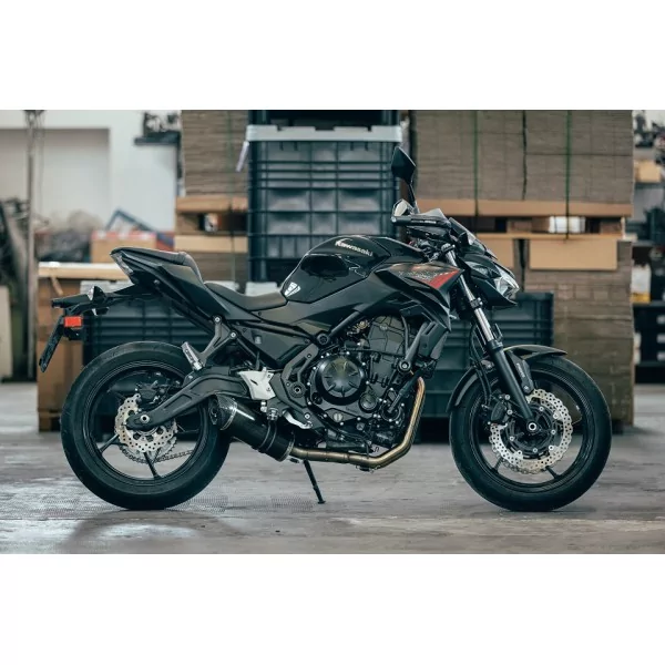 Special Carbon Roadsitalia Kawasaki Z650 2023-