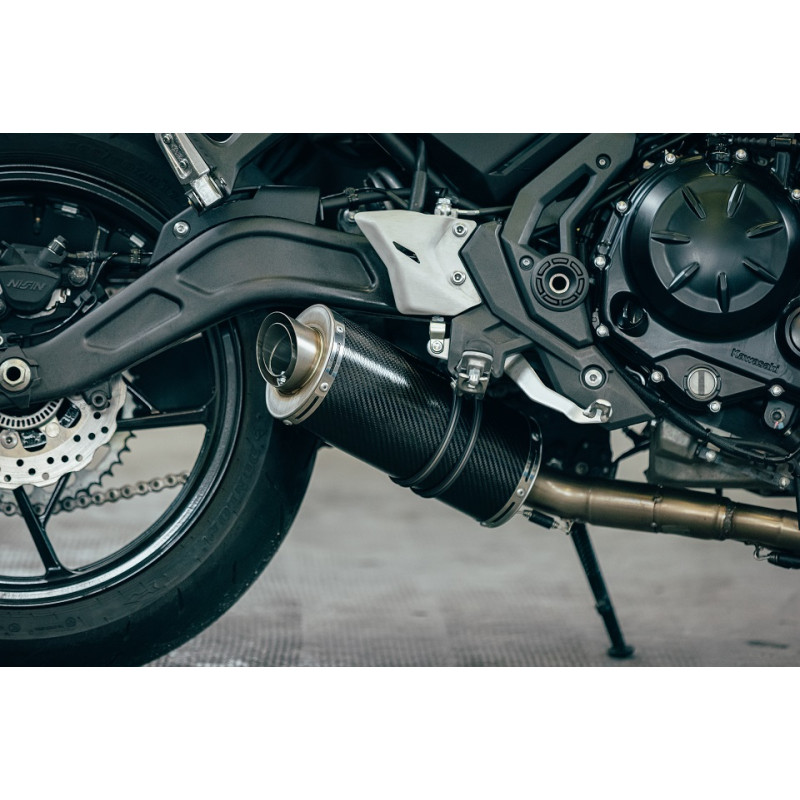 Exhaust for Kawasaki Z650 2023 Power Carbon