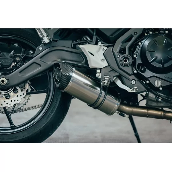 Special Titanium Roadsitalia Kawasaki Versys 650 2023-