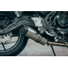 Special Titanium Roadsitalia Kawasaki Z650 2023-