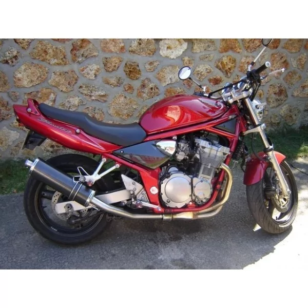 Ovale Carbon Roadsitalia Suzuki GSF Bandit 650 00-06