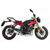 Special Titanium Roadsitalia Triumph Street Triple 675 2013-2016
