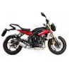Special Titanium Roadsitalia Triumph Street Triple 675 2013-2016