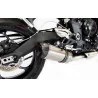 Special Titanium Roadsitalia Triumph Street Triple 675 2013-2016