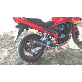 Special Carbon Roadsitalia Suzuki GSF Bandit 650 00-06