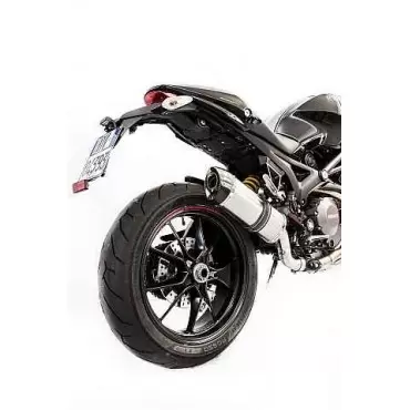 Special Titanium Roadsitalia Ducati Monster 1100 Evo