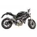 Special Carbon Roadsitalia Ducati Monster 1100 Evo