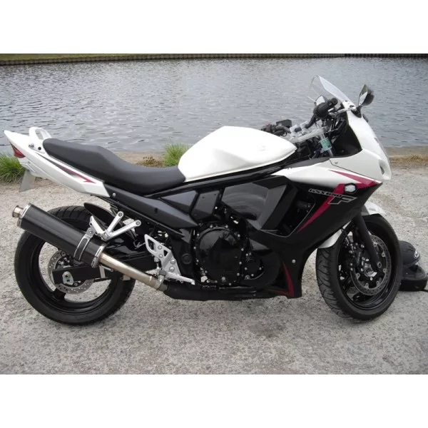 Ovale Carbon Roadsitalia Suzuki GSF Bandit 1250 07-16