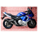 Ovale Carbon Roadsitalia Suzuki GSF Bandit 1250 07-16