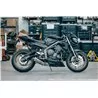 Short Titanium Roadsitalia Triumph Street Triple 765 RS 2020-2022