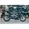 Short Carbon Roadsitalia Triumph Street Triple 765 RS 2020-2022