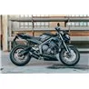 Special Titanium Black Roadsitalia Triumph Street Triple 765 RS 2020-2022
