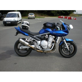 Special Titanium Roadsitalia Suzuki GSF Bandit 1250 07-16