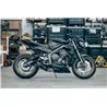 Special Carbon Roadsitalia Triumph Street Triple 765 RS 2020-2022
