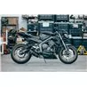 Doublefire Carbon Roadsitalia Triumph Street Triple 765 RS 2020-2022