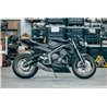 Power Titanium Roadsitalia Triumph Street Triple 765 RS 2020-2022