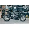 Power Titanium Black Roadsitalia Triumph Street Triple 765 RS 2020-2022