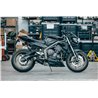 Thunder Carbon Roadsitalia Triumph Street Triple 765 RS 2020-2022