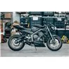 Thunder Carbon Roadsitalia Triumph Street Triple 765 RS 2020-2022
