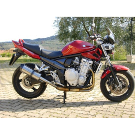 Special Titanium Roadsitalia Suzuki GSF Bandit 1250 07-16