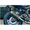 Power Carbon Roadsitalia Yamaha MT-07 2025-