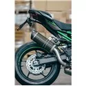 Special Carbon Roadsitalia Kawasaki Z900 2025-