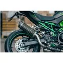 Special Carbon Roadsitalia Kawasaki Z900 2025-