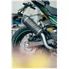 Doublefire Carbon Roadsitalia Kawasaki Z900 2025-