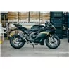 Power Carbon Roadsitalia Yamaha MT-09 2024-