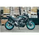 Special Carbon Roadsitalia Yamaha MT-03 2016-