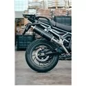 Ovale Titanium Black Roadsitalia Triumph Tiger 900 GT Pro 2024-