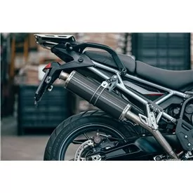 Ovale Carbon Roadsitalia Triumph Tiger 900 GT Pro 2024-