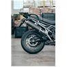 Ovale Carbon Roadsitalia Triumph Tiger 900 GT Pro 2024-