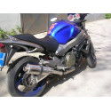 Short Titanium Roadsitalia Honda CBR 1100 XX X Eleven