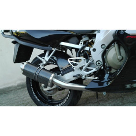 Power Carbon Roadsitalia Honda CBR 600 F 2001-2007