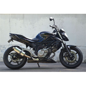 Short Titanium Roadsitalia Suzuki Gladius 650