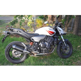 Special Carbon Roadsitalia Suzuki Gladius 650