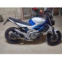 Power Carbon Roadsitalia Suzuki Gladius 650