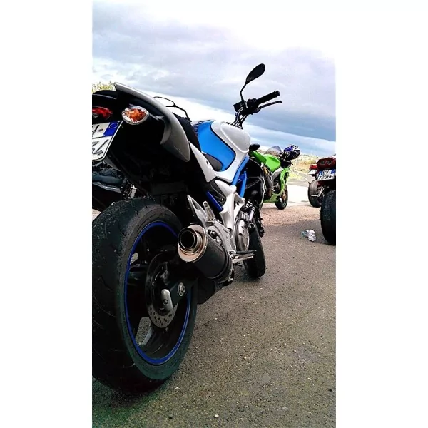 Power Carbon Roadsitalia Suzuki Gladius 650