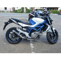 Thunder Carbon Roadsitalia Suzuki Gladius 650