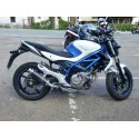 Thunder Carbon Roadsitalia Suzuki Gladius 650