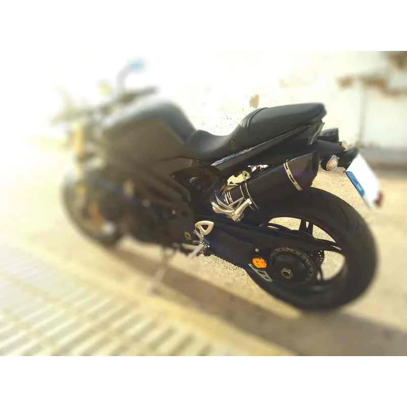 Protection Chaîne Triumph Speed Triple 1050 2005-2010 - IBEX Acier Inox Revêtu Noir