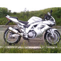 Special Titanium Roadsitalia Suzuki SV 1000