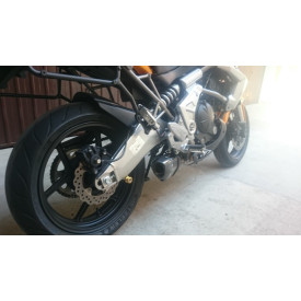 Projsix Titanium Roadsitalia Kawasaki ER6F 2005-2011