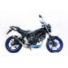 Thunder Carbon Roadsitalia Suzuki SV 650 2016-2020